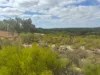 Lot 9678 Geraldton Mount Magnet Road, Wicherina, WA 6532-Image