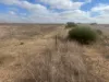 Lot 9678 Geraldton Mount Magnet Road, Wicherina, WA 6532-Image