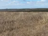 Lot 9678 Geraldton Mount Magnet Road, Wicherina, WA 6532-Image