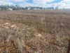 Lot 9678 Geraldton Mount Magnet Road, Wicherina, WA 6532-Image