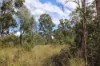 Lot A Forestry Road, Gurgeena QLD 4626-Image