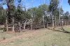 Lot A Forestry Road, Gurgeena QLD 4626-Image