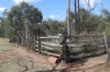 Lot A Forestry Road, Gurgeena QLD 4626-Image