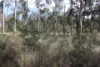 Lot A Forestry Road, Gurgeena QLD 4626-Image