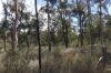Lot A Forestry Road, Gurgeena QLD 4626-Image