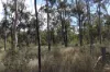 Lot A Forestry Road, Gurgeena QLD 4626-Image