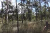 Lot A Forestry Road, Gurgeena QLD 4626-Image