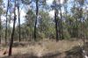Lot A Forestry Road, Gurgeena QLD 4626-Image