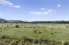 Lot A2 Euroa-Strathbogie Road, Euroa, Vic 3666-Image