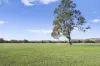 Lot A2 Euroa-Strathbogie Road, Euroa, Vic 3666-Image