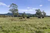 Lot A2 Euroa-Strathbogie Road, Euroa, Vic 3666-Image