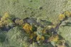 Lot A2 Euroa-Strathbogie Road, Euroa, Vic 3666-Image