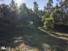 Lots 1& 2 Native Corners Road, Campania, Tas 7026-Image