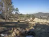 Lots 1& 2 Native Corners Road, Campania, Tas 7026-Image