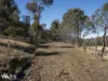 Lots 1& 2 Native Corners Road, Campania, Tas 7026-Image