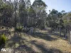 Lots 1& 2 Native Corners Road, Campania, Tas 7026-Image