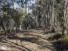 Lots 1& 2 Native Corners Road, Campania, Tas 7026-Image