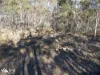 Lots 1& 2 Native Corners Road, Campania, Tas 7026-Image