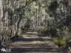 Lots 1& 2 Native Corners Road, Campania, Tas 7026-Image