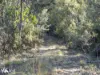 Lots 1& 2 Native Corners Road, Campania, Tas 7026-Image