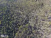 Lots 1& 2 Native Corners Road, Campania, Tas 7026-Image