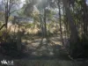 Lots 1& 2 Native Corners Road, Campania, Tas 7026-Image