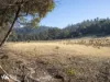 Lots 1& 2 Native Corners Road, Campania, Tas 7026-Image