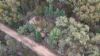 Lots 1 & N Yagaburne-, Boondandilla QLD 4406-Image
