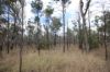 Lots 1 & N Yagaburne-, Boondandilla QLD 4406-Image
