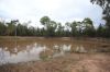 Lots 1 & N Yagaburne-, Boondandilla QLD 4406-Image