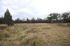Lots 1 & N Yagaburne-, Boondandilla QLD 4406-Image