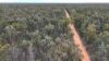 Lots 1 & N Yagaburne-, Boondandilla QLD 4406-Image
