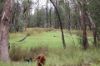 Lots 1 & N Yagaburne-, Boondandilla QLD 4406-Image