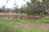 Lots 1 & N Yagaburne-, Boondandilla QLD 4406-Image