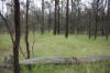 Lots 1 & N Yagaburne-, Boondandilla QLD 4406-Image