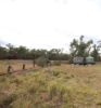 Lots 1 & N Yagaburne-, Boondandilla QLD 4406-Image