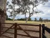 Lots 20-24/80 Ferndale Road, Bundanoon, NSW 2578-Image