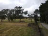 Lots 20-24/80 Ferndale Road, Bundanoon, NSW 2578-Image