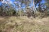 Lots 3/11 & N, Monogorilby QLD 4626-Image