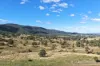 , Lower Cressbrook QLD 4313-Image