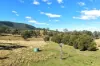 , Lower Cressbrook QLD 4313-Image