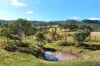 , Lower Cressbrook QLD 4313-Image