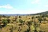 , Lower Cressbrook QLD 4313-Image