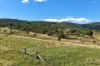 , Lower Cressbrook QLD 4313-Image