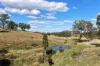 , Lower Cressbrook QLD 4313-Image