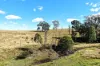 , Lower Cressbrook QLD 4313-Image