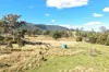 , Lower Cressbrook QLD 4313-Image