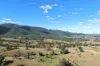, Lower Cressbrook QLD 4313-Image