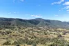 , Lower Cressbrook QLD 4313-Image