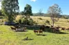 , Lower Cressbrook QLD 4313-Image